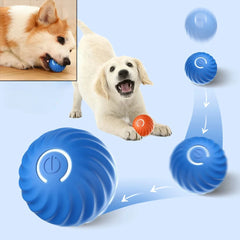 Bouncetug Play Ball Interactive Pet Toy